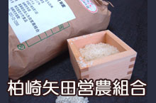 特別栽培米越路早生５kg